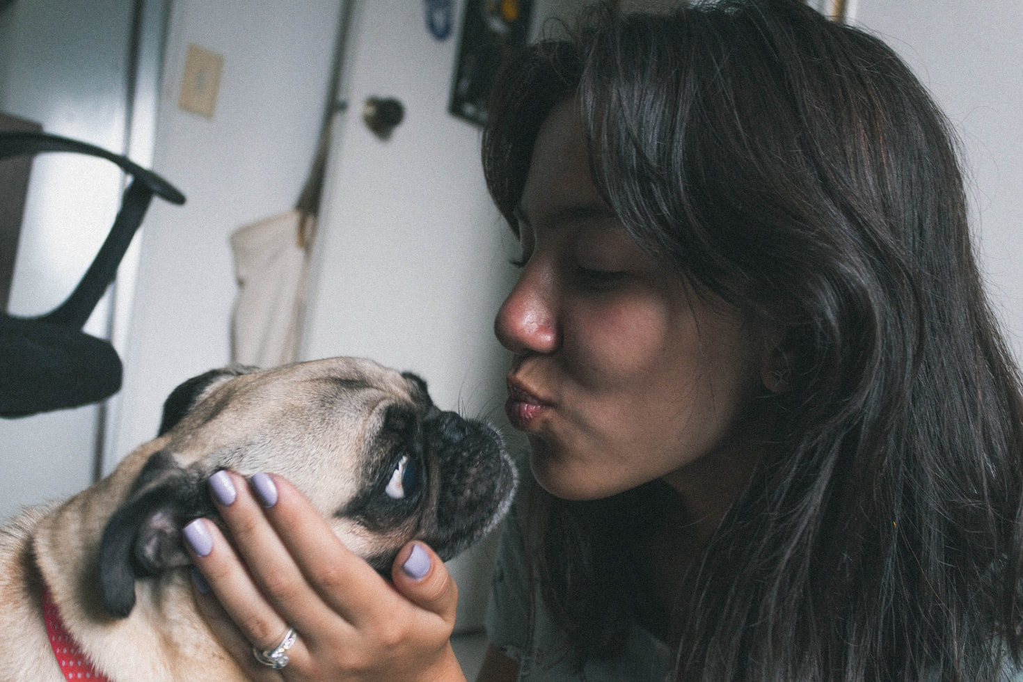 Voluntariado: una forma de ayudar a los animales